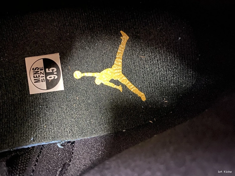 12 CT8013-005  Air Jordan Concord” “Dark 0208